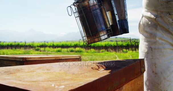 Крупный план пчеловода, держащего курильщика на сотовом ящике — стоковое видео