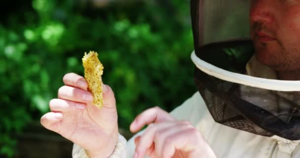 Пчеловод держит кусочек свежей соты — стоковое видео