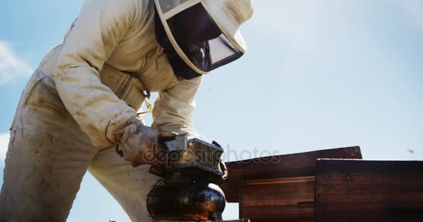 Apicultor fumando las abejas lejos de la colmena — Vídeos de Stock