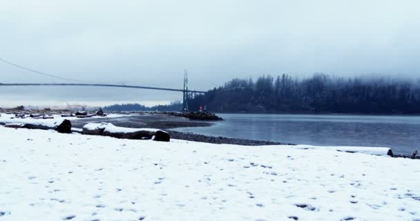 View of suspension bridge and sea — Stock Video