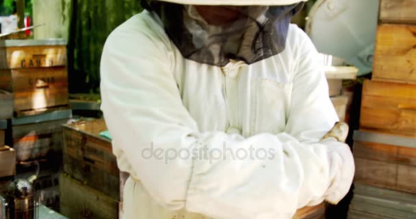 Αυτοπεποίθηση μελισσοκόμος μέλισσας κοστούμι στέκεται στο μελισσοκομείο — Αρχείο Βίντεο