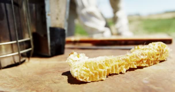 Palacz gałęzi i wosk pszczeli w ulu — Wideo stockowe