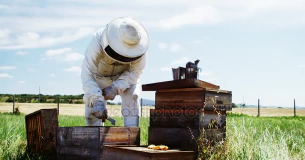 养蜂人检查蜂箱 — 图库视频影像