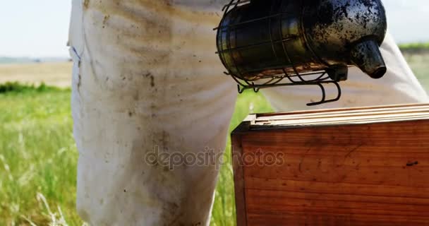 Beekeeper smoking the bee hive — Stock Video