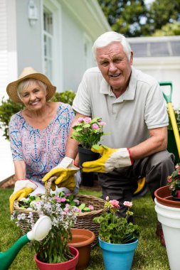 Portrait of senior couple gardening together clipart