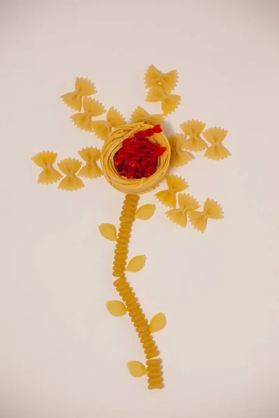 Sorten von Nudeln, die eine Blume machen — Stockfoto