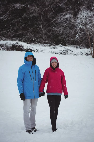 Pari kävelee luminen metsä — kuvapankkivalokuva
