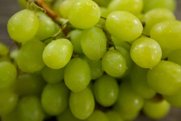 Green bunch of grapes with water droplets — Stock Photo, Image