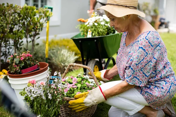 Senior coppia giardinaggio insieme — Foto Stock