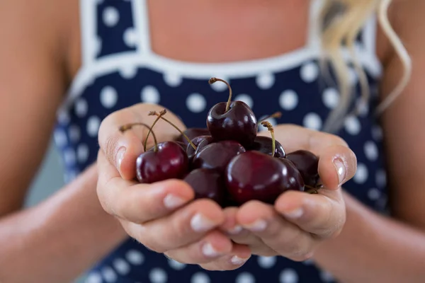 Close-up of woman holding cherries — Stock Photo, Image