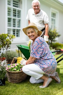 Senior couple gardening together clipart