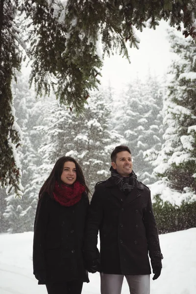 Couple souriant tenant la main tout en se tenant dans la forêt — Photo