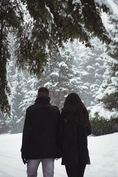 Couple marchant dans la forêt enneigée — Photo