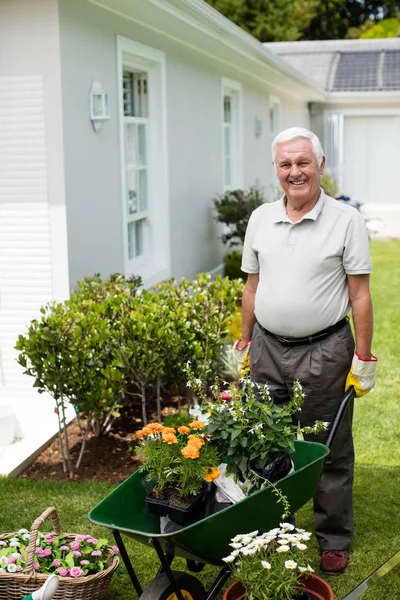 Hombre mayor sosteniendo una carretilla durante la jardinería — Foto de Stock