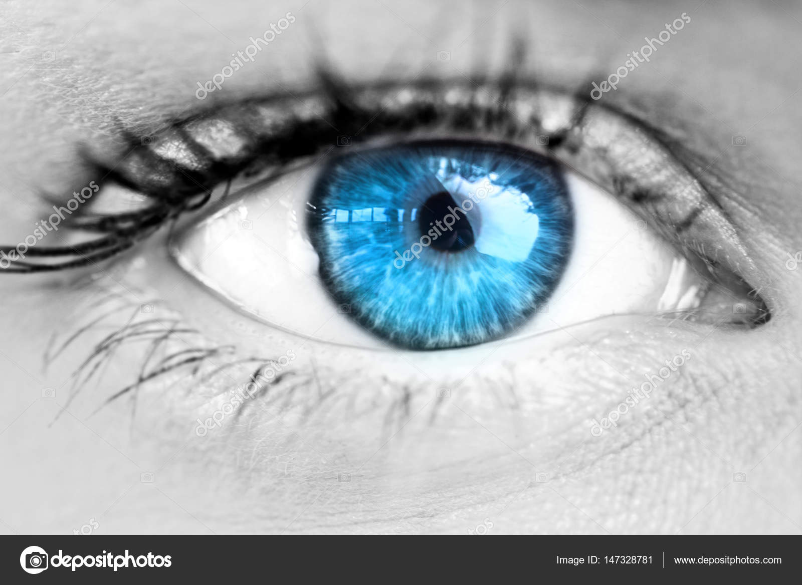 Female blue bright eye Stock Photo by ©Wavebreakmedia 147328781