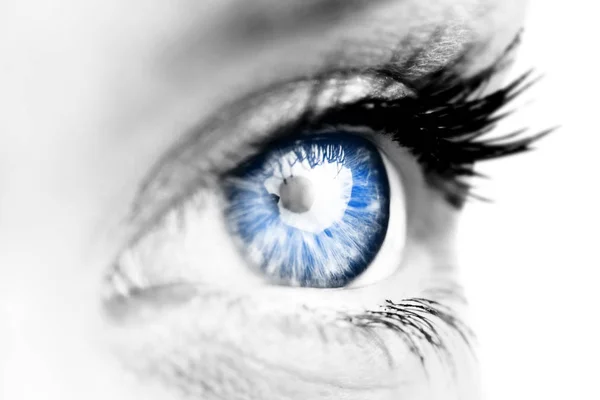 Female blue bright eye — Stock Photo, Image