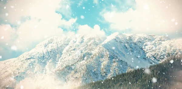 雪覆盖在森林山 3d — 图库照片