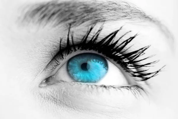 Vrouwelijke blauwe heldere ogen — Stockfoto