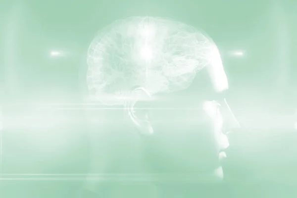 인간의 머리에서 뇌 다이어그램 — 스톡 사진