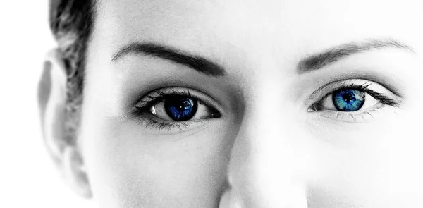 Yeux brillants bleu femelle — Photo