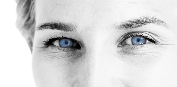 Yeux brillants bleu femelle — Photo