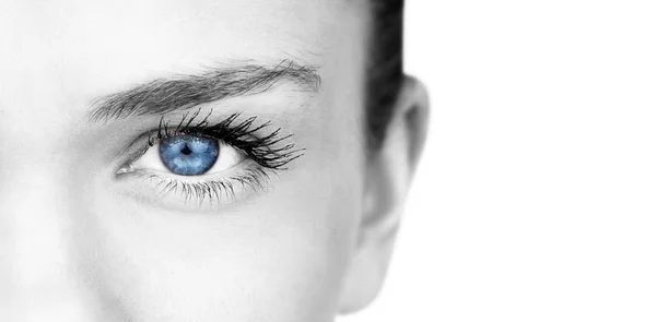 Female blue bright eye — Stock Photo, Image