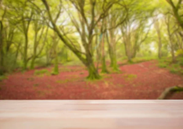 Holztisch gegen verschwommenen Wald — Stockfoto