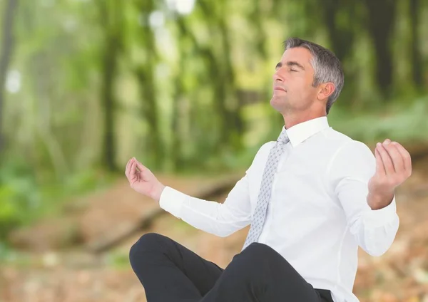 Üzletember Meditating erdő — Stock Fotó