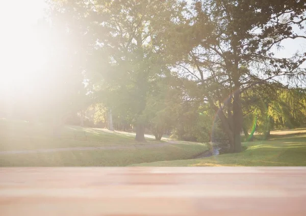 Wood table in park against park with flare — Stock Photo, Image