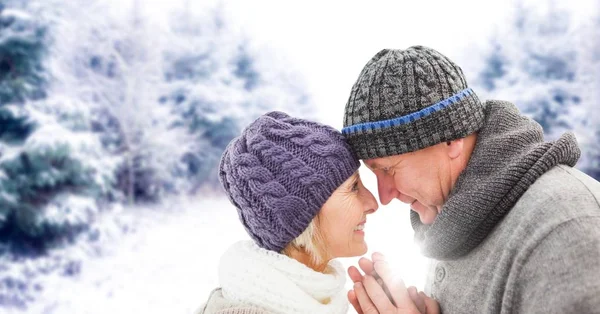 Elderly couple in snowy landscape with flare — Stock Photo, Image