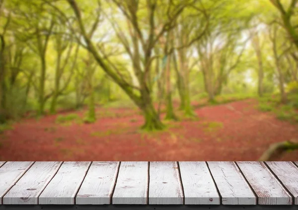 Tavolo in legno bianco contro la foresta sfocata — Foto Stock