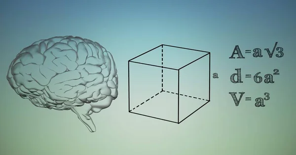 Прозрачная мозговая и черная математическая графика на синем зеленом фоне — стоковое фото