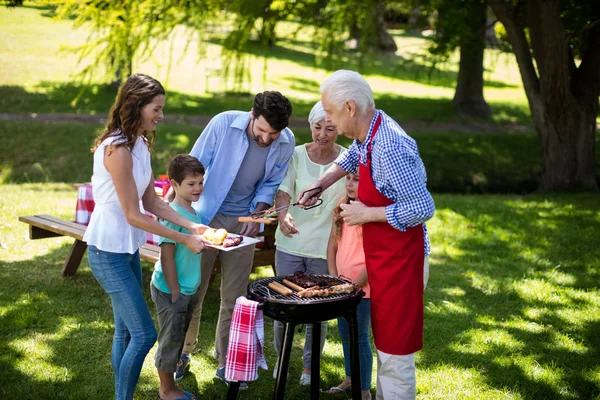 Multi generatie familie genieten van de barbecue — Stockfoto