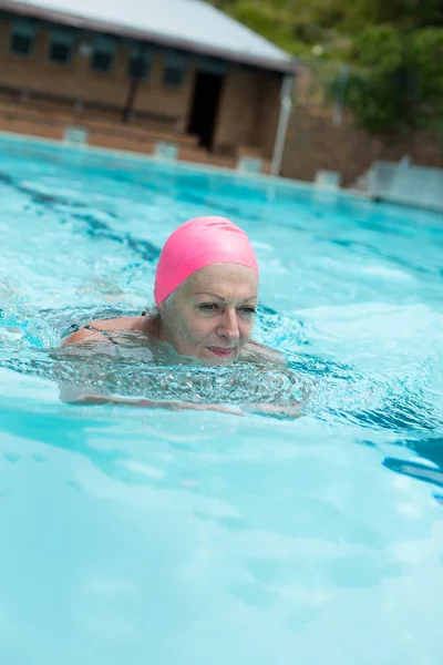 在游泳池游泳时戴的女高管 — 图库照片