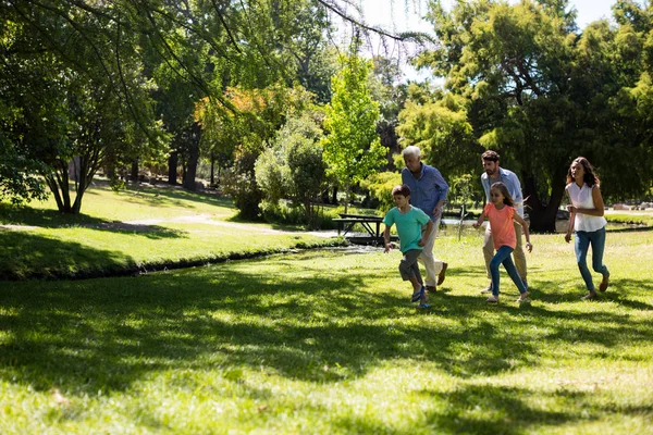 多世代家族公園で走って — ストック写真