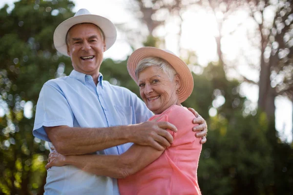 Porträt eines fröhlichen Seniorenpaares — Stockfoto