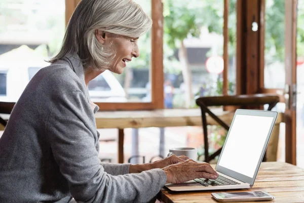 Donna anziana che utilizza il computer portatile — Foto Stock