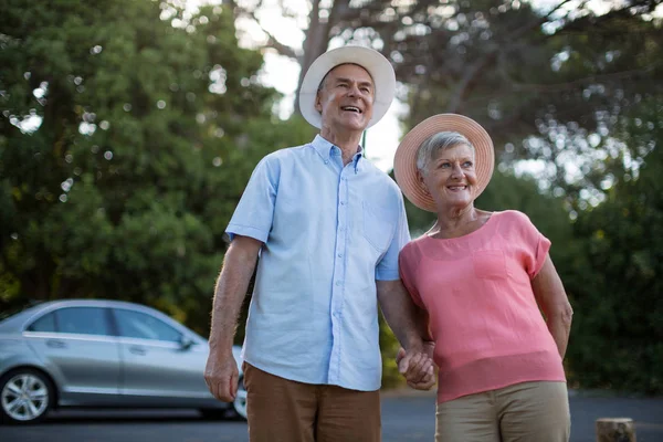 Senior couple standing at roadside — Stock Photo, Image