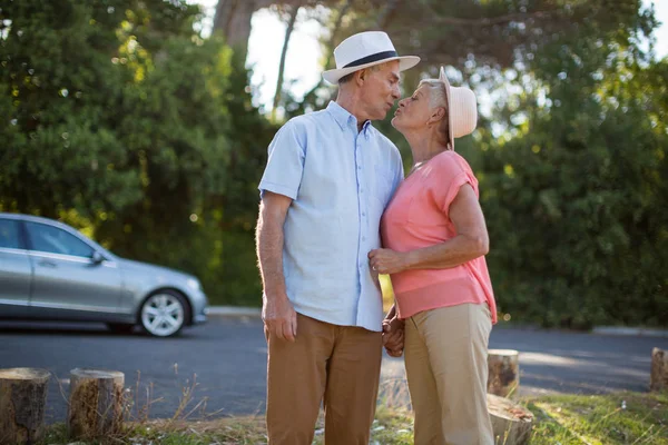 Senior couple romancing at roadside — Stock Photo, Image