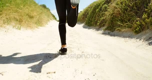 Вид сзади триатлониста бегущего по тропе — стоковое видео