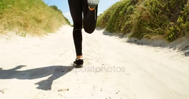 Vista trasera del hombre triatleta trotando en un sendero — Vídeos de Stock