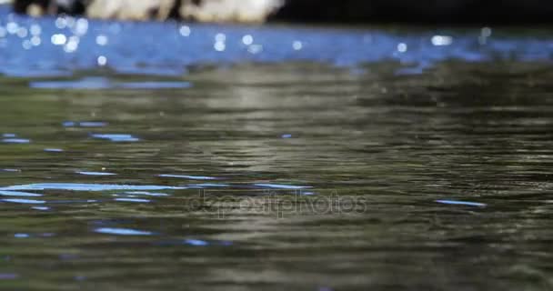 河流水表面的特写镜头 — 图库视频影像