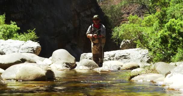 Рибалка літає риболовлею в річці — стокове відео