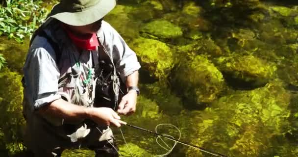 Pesca com mosca de pescador no rio — Vídeo de Stock