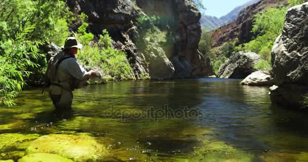 Pesca con mosca en el río — Vídeo de stock