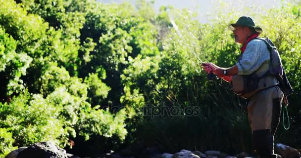 Hombre pesca con mosca en el río — Vídeo de stock