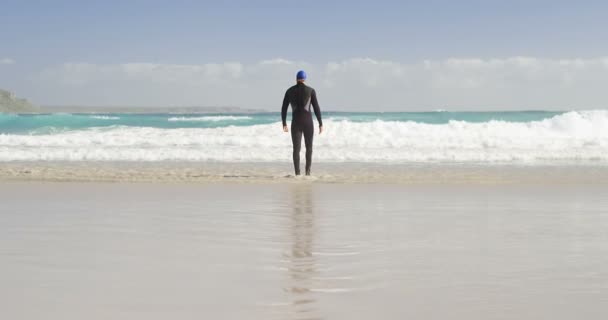 Vista trasera del surfista masculino caminando en la playa — Vídeos de Stock