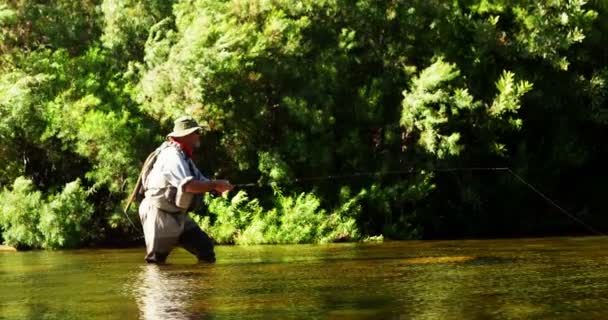 Homem pesca com mosca no rio — Vídeo de Stock