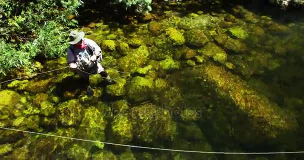 Pêcheur mouche pêche dans la rivière — Video