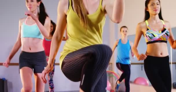 Grupo de mulheres que realizam exercício aeróbico — Vídeo de Stock